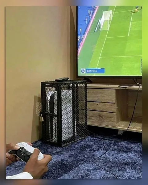 Gamer-Proof Console Cage