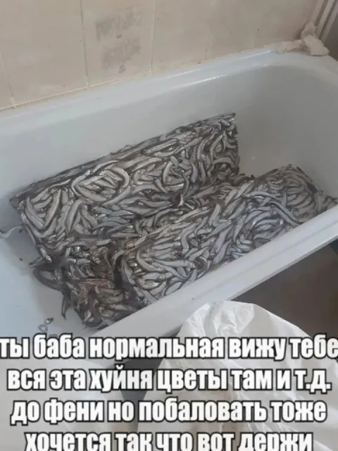 Бабе нормальной — ванна рыбы