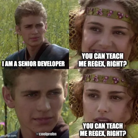 Senior Developer Knows Regex