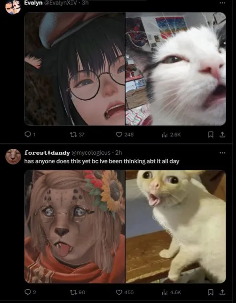 Anime Girl and Cat Comparison