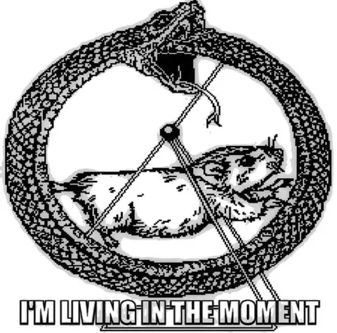 Cat Living in the Moment