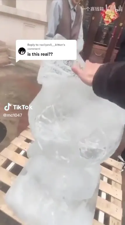 会动的冰雕猫