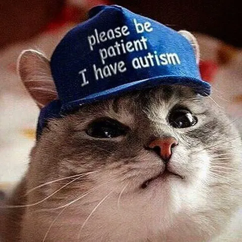 Please Be Patient Cat