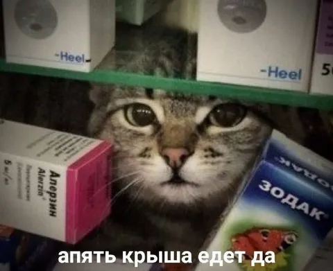 Апять крыша едет