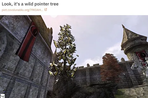 Wild Pointer Tree