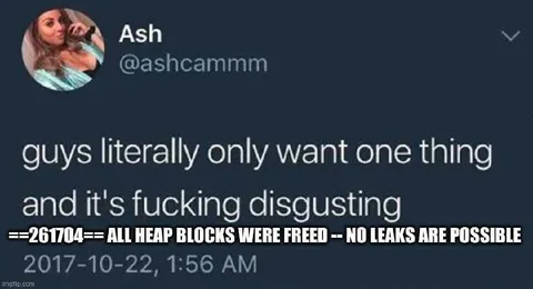 All Heap Blocks Were Freed