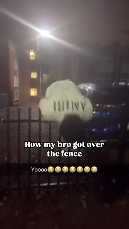 How My Bro Got Over the Fence