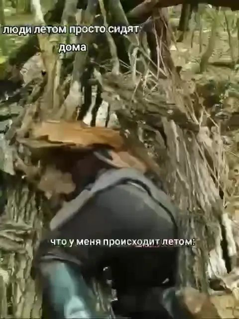 Лето в лесу вместо дома