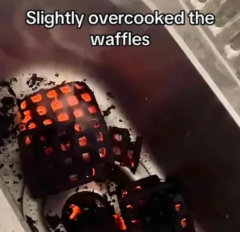 Slightly Overcooked Waffles