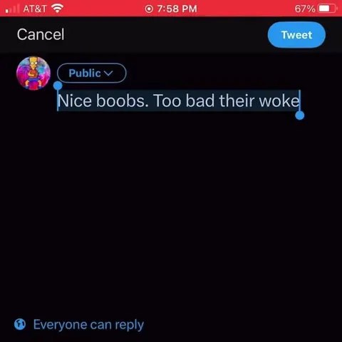 Nice Boobs, Too Bad They’re Woke
