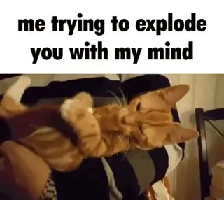 Cat Trying to Explode Your Mind