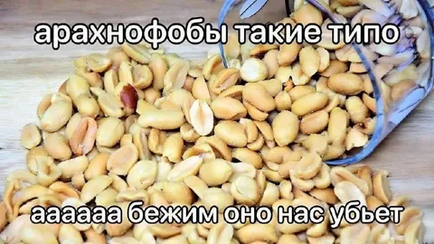 Арахисные бобы боятся арахиса
