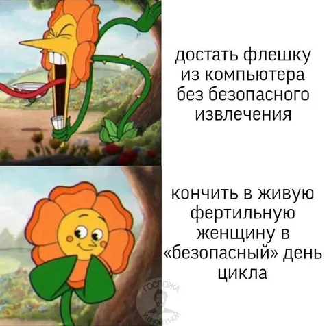 Безопасное извлечение и безопасный день