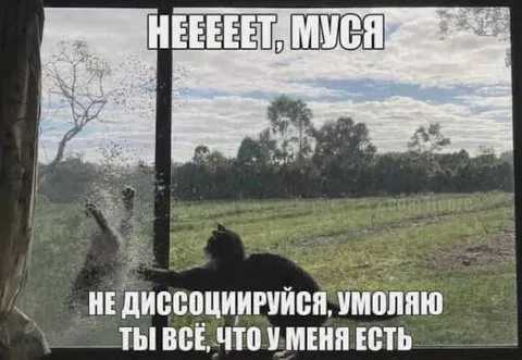 Не диссоциируйся, Муся