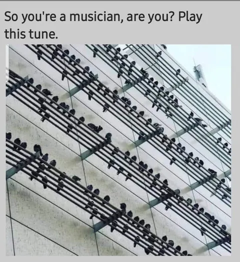 Play This Tune