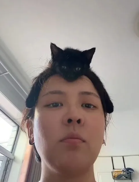 Кот на голове