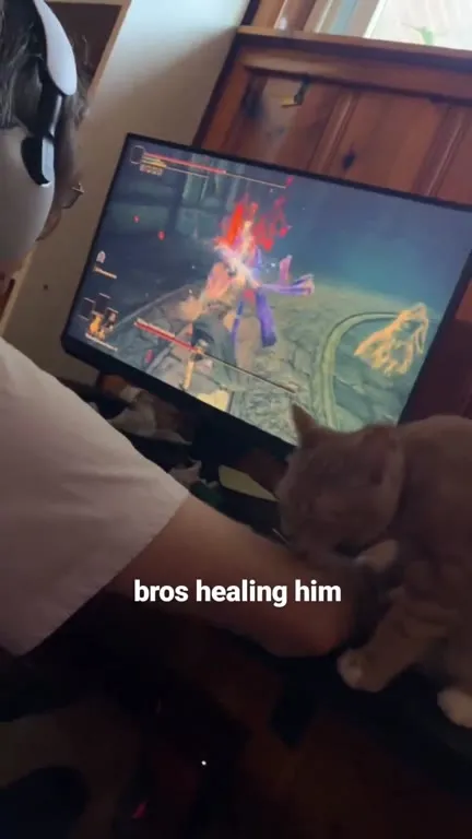 Bros Healing Him