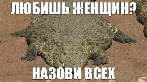 Любишь женщин? Назови всех