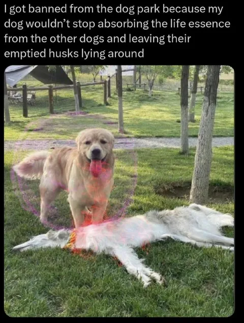 Dog Park Life Essence Thief