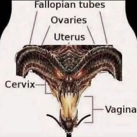 Terrifying Female Anatomy Diagram