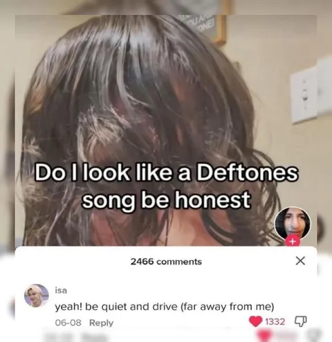 Do I Look Like a Deftones Song