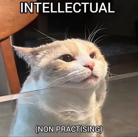 Intellectual Non Practising Cat