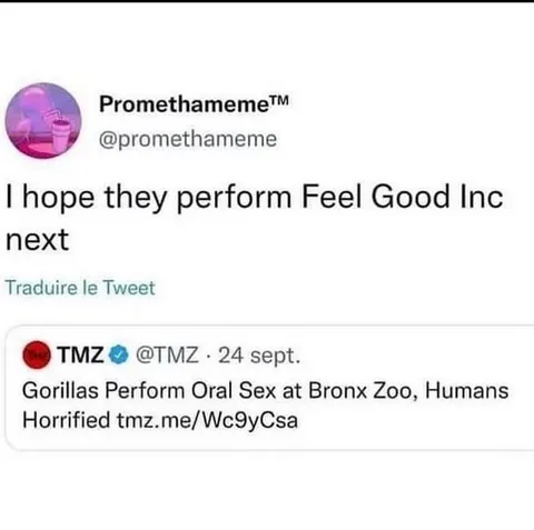Gorillas Perform Feel Good Inc