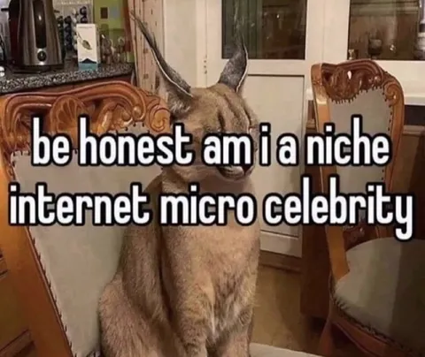 Niche Internet Micro Celebrity