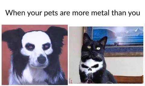 When Your Pets Are More Metal