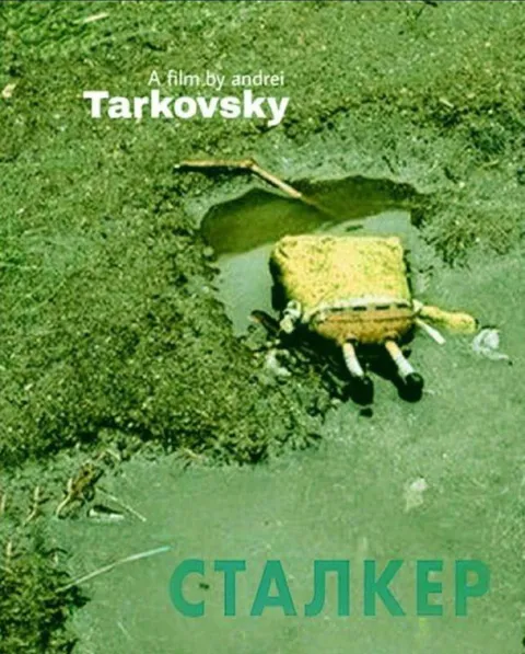 Сталкер в луже