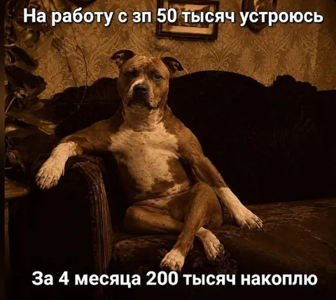 Работа за 50 тысяч