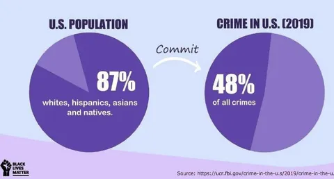 U.S. Population Crime Statistics