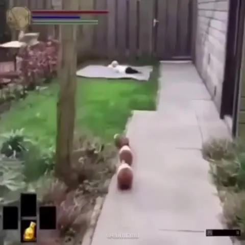 Guinea Pig Boss Fight