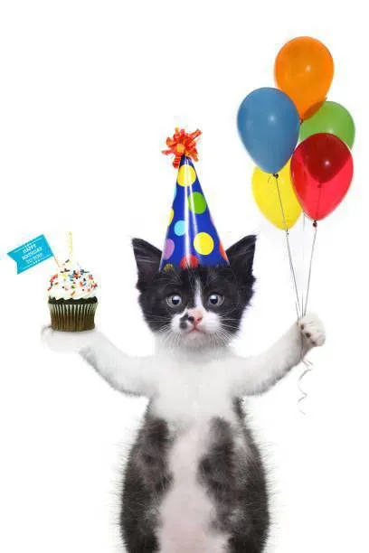 Birthday Cat With Balloons