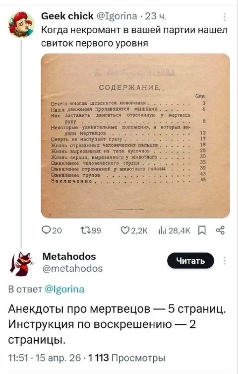 Некромант нашёл свиток первого уровня