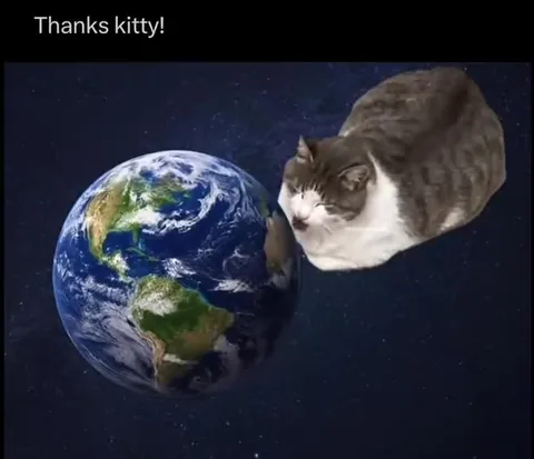 Thanks Kitty Earth Lick