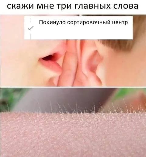 Три главных слова о посылке