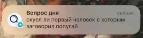 Попугай заговорил первым