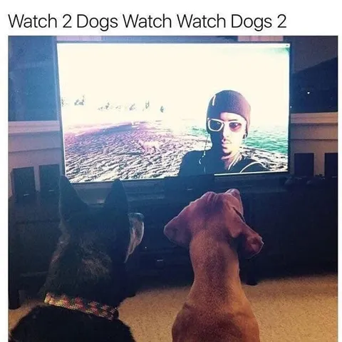 Watch 2 Dogs Watch Watch Dogs 2