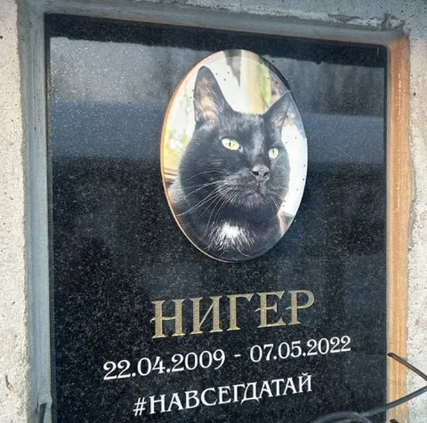 Мемориальная табличка с котом Нигером