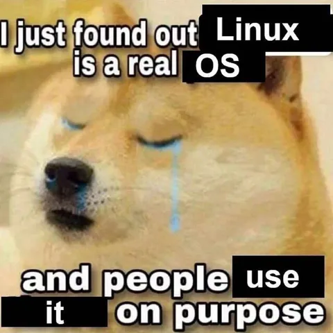 Linux Is a Real OS