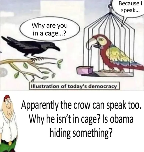Crow Speaks Too