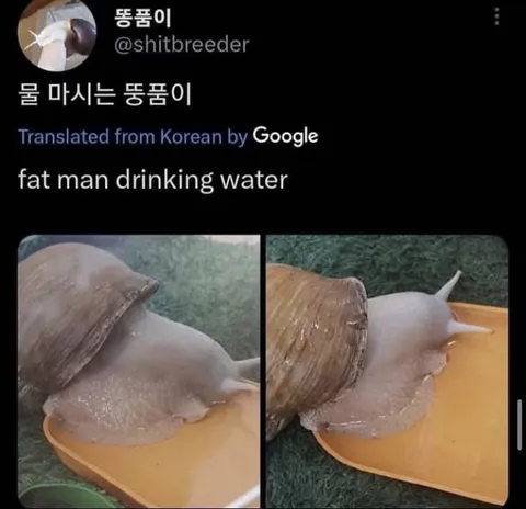 물을 마시는 뚱뚱이