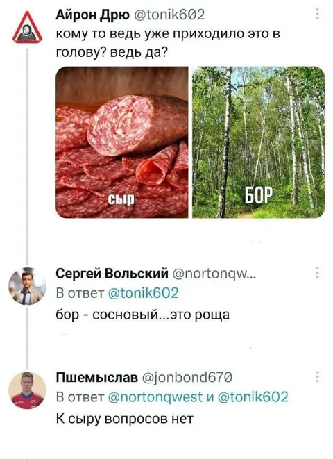 Сыр и бор — омонимичный каламбур