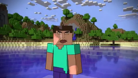 Steve Meets the Minecraft Villagers