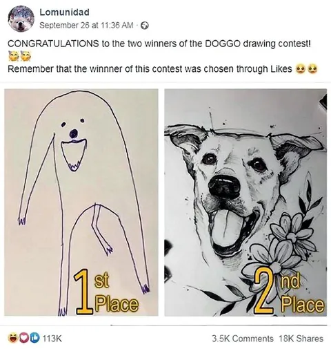 Doggo Drawing Contest Winners