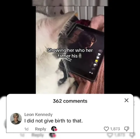 Cat Shows Her Father