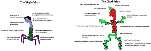 The Virgin Virus vs The Chad Prion