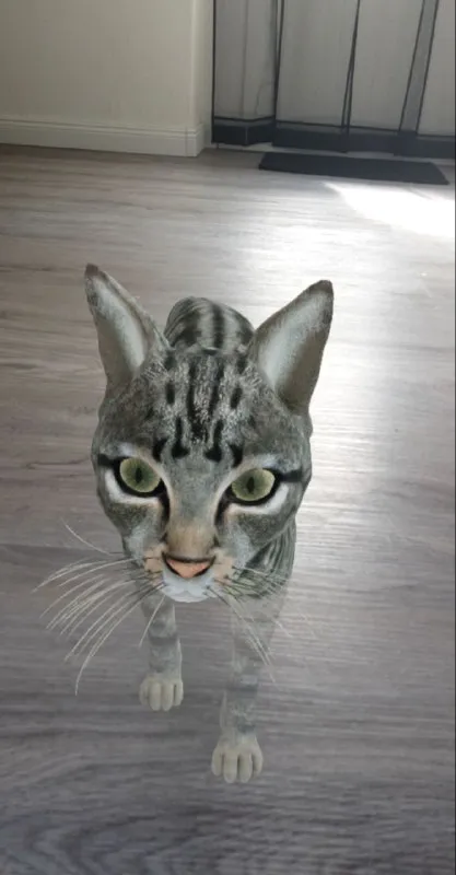 Призрачный кот на полу