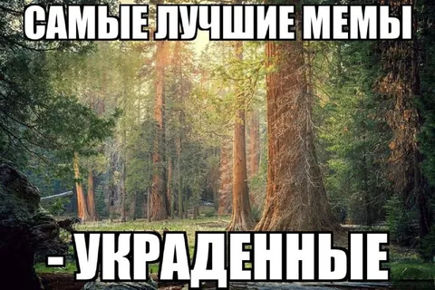Самые лучшие мемы — украденные